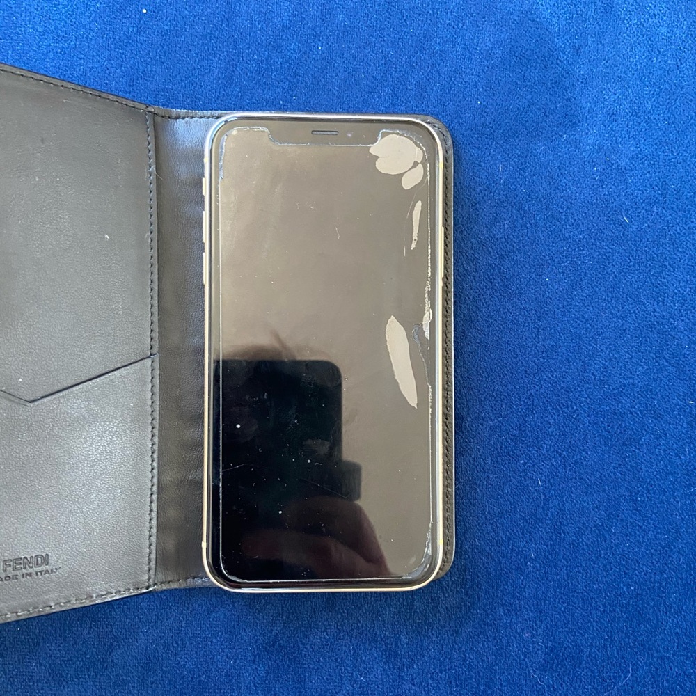 iPhone XR in X case